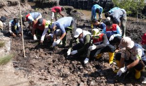 WhatsApp Image 2025-10-21 at 15.08.46