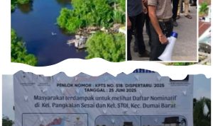 created by photogrid