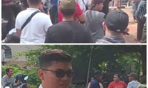 created by photogrid